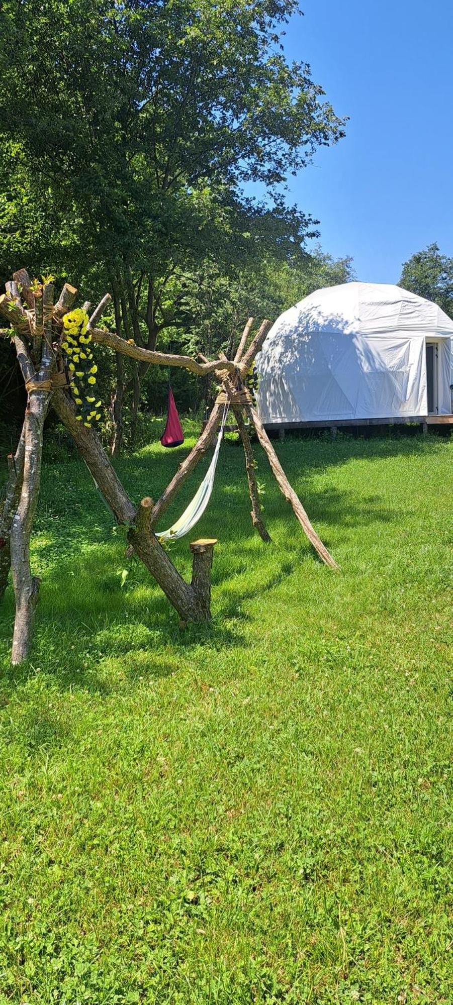 Forest Glamping Braşov Exterior foto