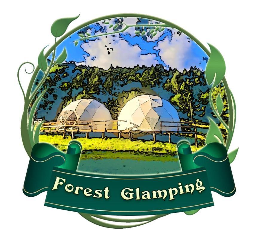 Forest Glamping Braşov Exterior foto