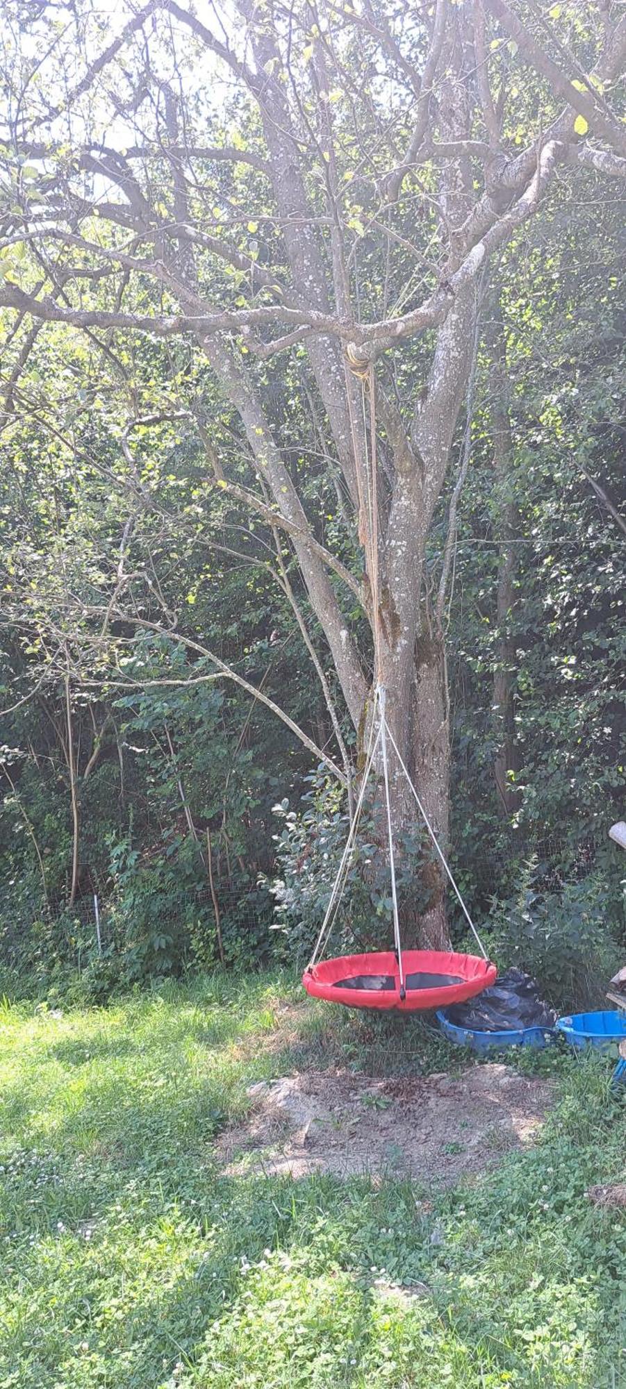 Forest Glamping Braşov Exterior foto