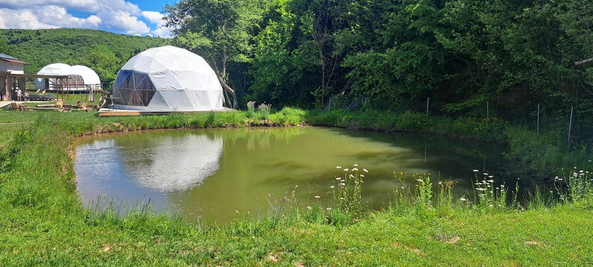 Forest Glamping Braşov Exterior foto