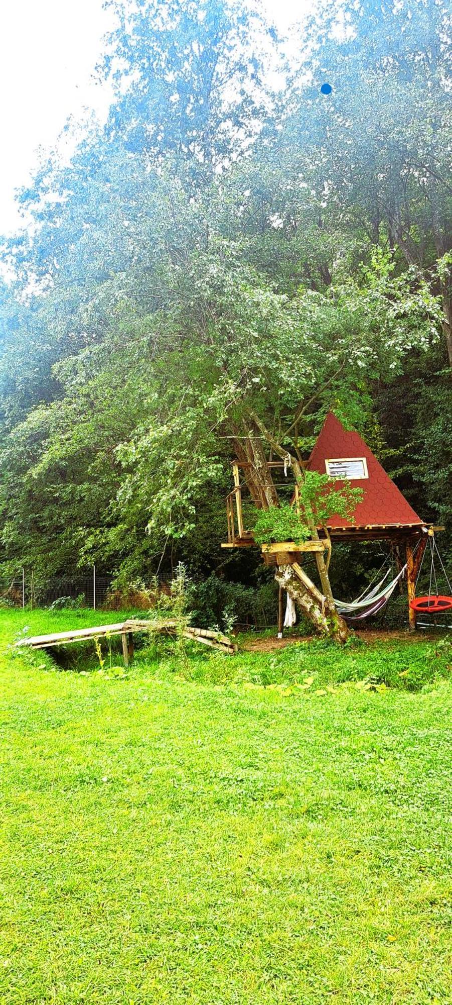Forest Glamping Braşov Exterior foto