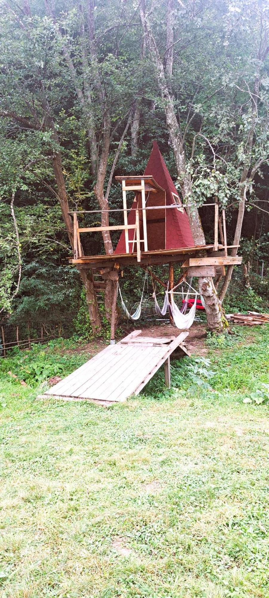 Forest Glamping Braşov Exterior foto